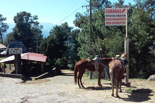Tour image 4